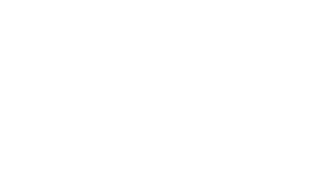 Gänse-Express